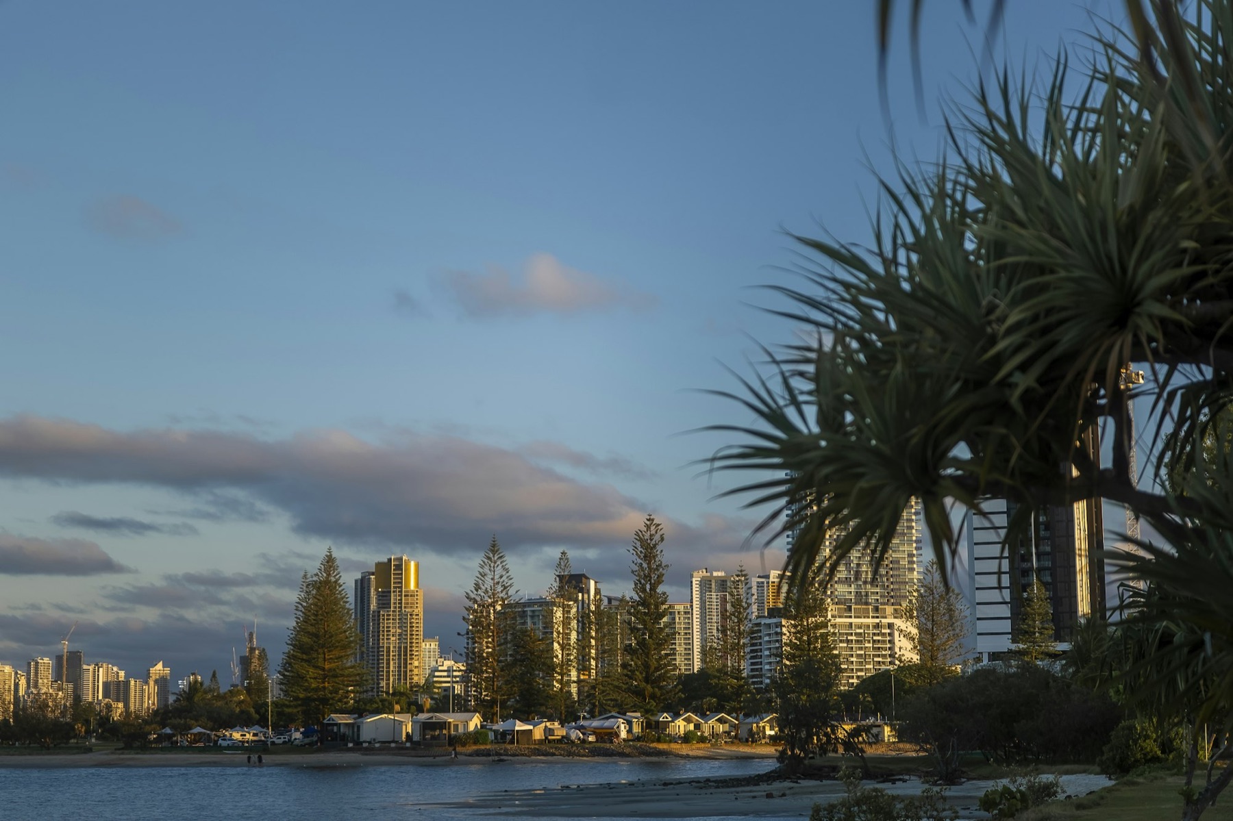 The Northern Gold Coast skyline at golden hour, framed by palms over a calm waterway